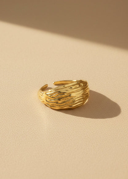 Anillo Curvas