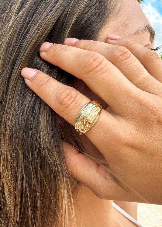 Anillo Curvas