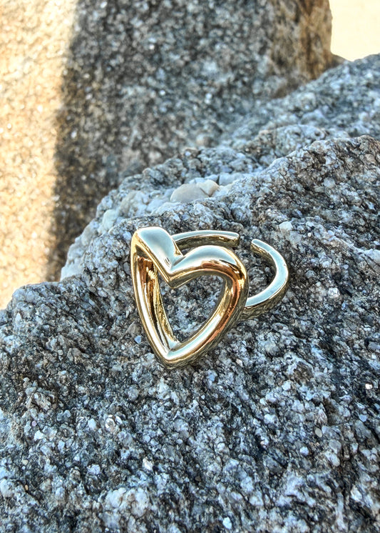 Anillo Latido